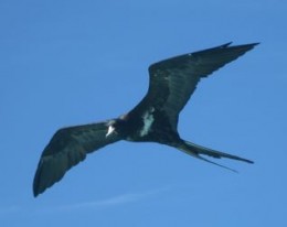 img_10641 img_10641