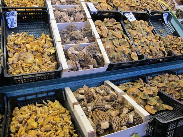 la-boqueria-mushrooms la-boqueria-mushrooms-photo