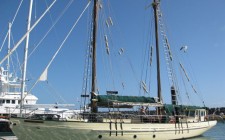 A Whitsunday adventure The Derwent Hunter