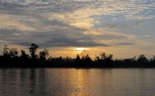 Velvet moments: travel photo of the week – Kinabatangan River kinabatangan-river-dawn-photo