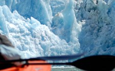 Experiencing the Alaskan wilderness Image courtesy of InnerSea Discoveries