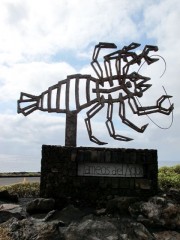jameos-del-agua-lanzarote-photo