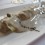 mushroom-cannelloni-cal-sastre-photo