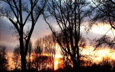 sunset-winter-amsterdam-photo
