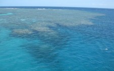 reef-photo