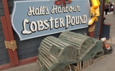 lobster-pound-halls-harbour-photo