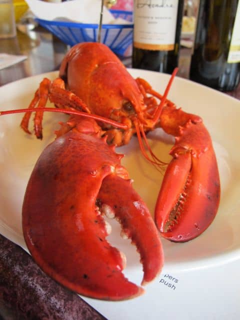 nova-scotia-lobster nova-scotia-lobster-photo