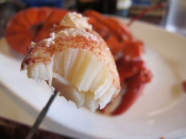 lobster-flesh lobster-flesh-photo