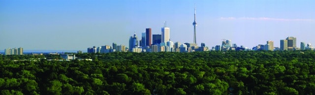 toronto-skyline-photo