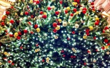 xmas-tree-amsterdam