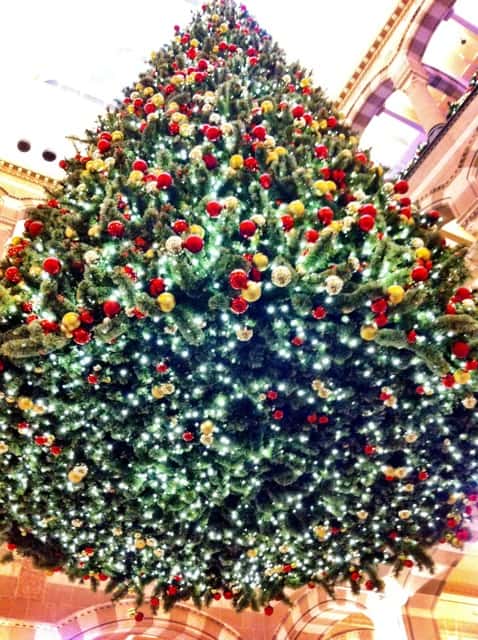xmas tree xmas-tree-amsterdam