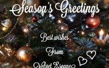 Season’s greetings merry-christmas-velvet-escape