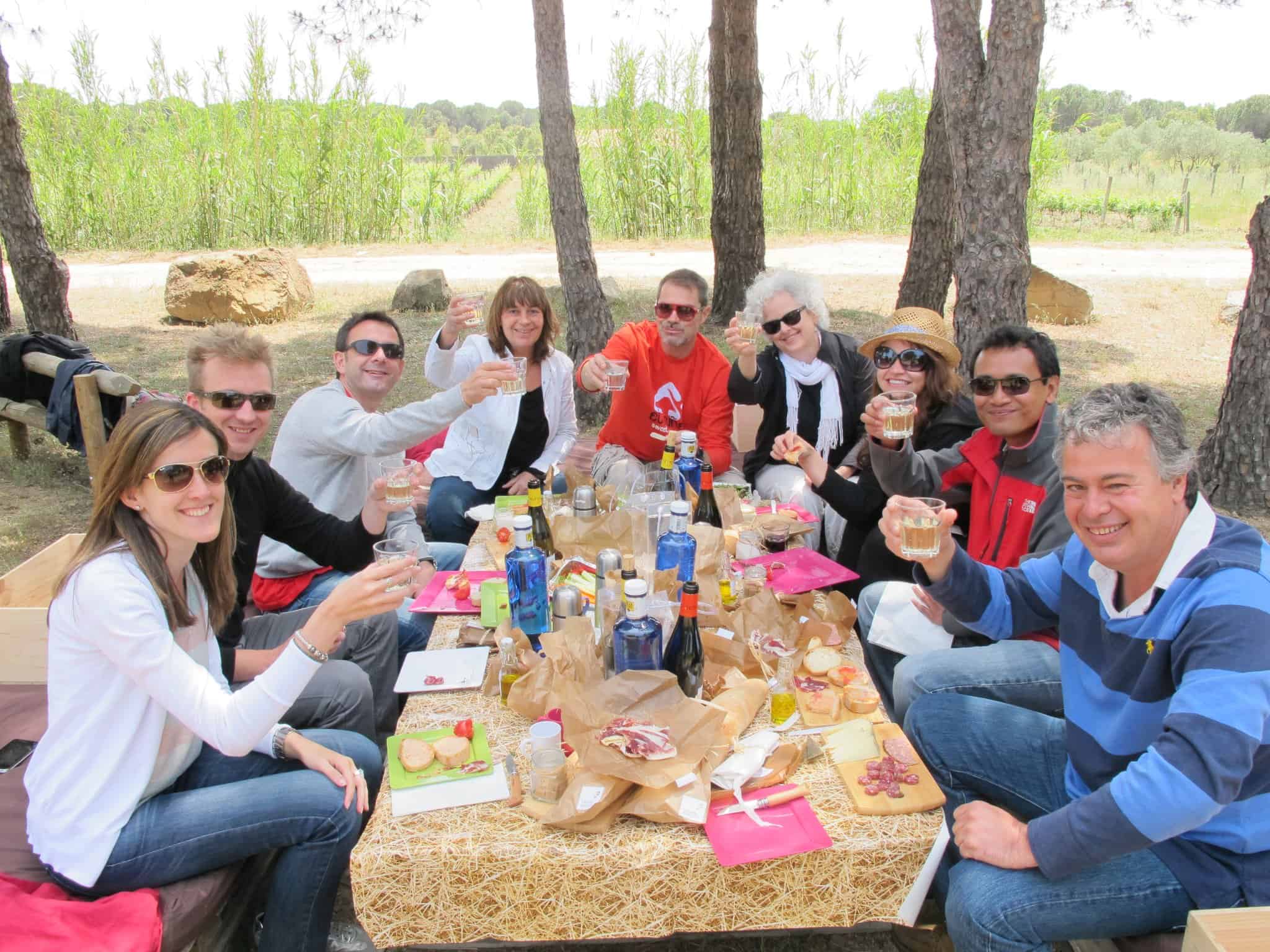 Picnic in a vineyard in Costa Brava.