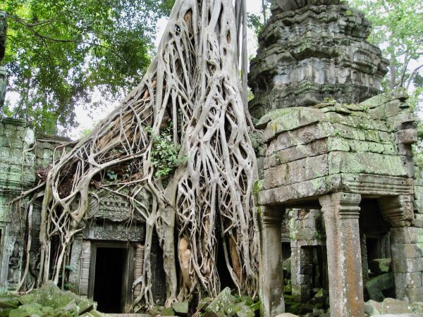 Touring the ancient Angkor Wat temples in Cambodia