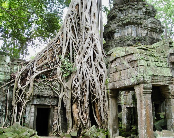 The wonders of Angkor Wat