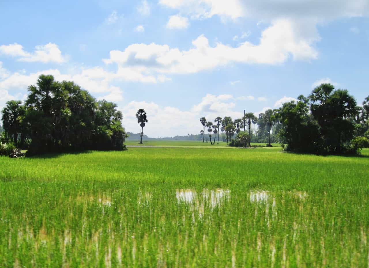 Touring the ancient Angkor Wat temples in Cambodia