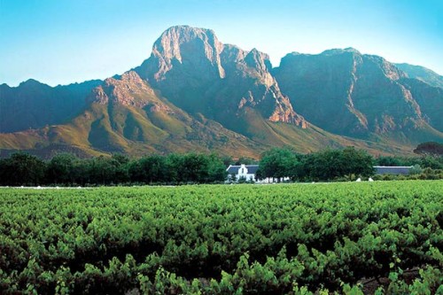 boschendal boschendal