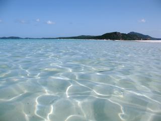 img_0445_2 img_0445_2