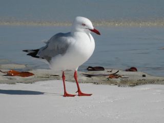 img_0465 img_0465