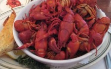 velvet escape’s Culinary Journey: Portland crayfish-photo