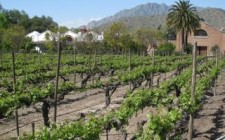 Five splendid ‘new world’ wineries in the Southern Hemisphere Errazuriz_Chile