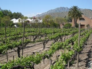 Errazuriz_Chile