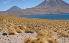 A desert full of wonders – San Pedro de Atacama, Chile Laguna