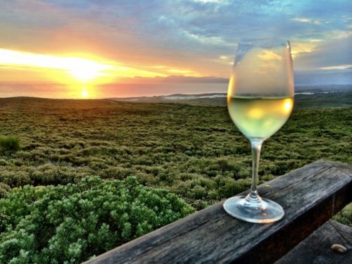 sunset-grootbos-photo