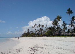 Zanzibar_beach A beach on Zanzibar's east coast
