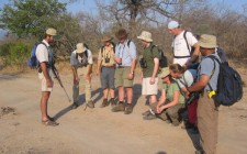 A world of inspiration: An Inspiring Safari Field Guide Eco Training