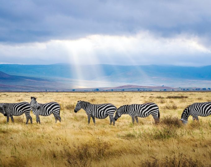 Enchanting spots: Ngorongoro