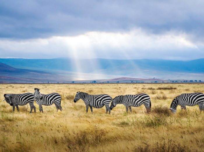 Enchanting spots: Ngorongoro