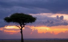 Fabulous sunsets Masaai Mara, Kenya