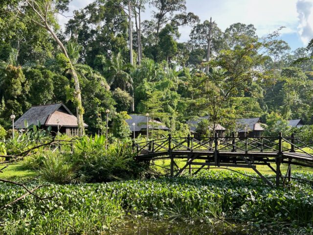 where to stay in sepilok