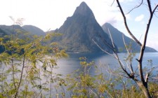 Stunning Saint Lucia pitons-st-lucia-photo