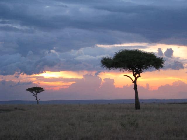 Masaai Mara sunset