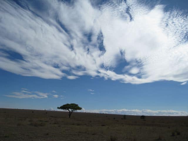 Serengeti sky