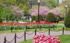 My velvet escape travel tip: Boston courtesy of Boston Parks & Recreation