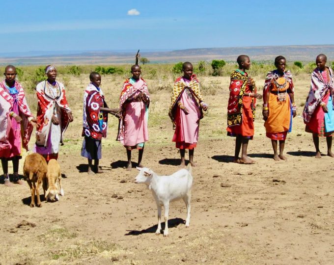 The majestic Masai Mara