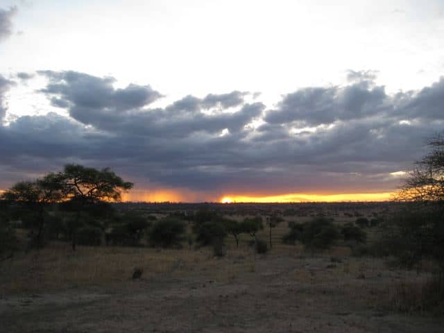 A Tarangire sunset