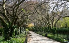 My velvet escape travel tip: New York City ConservGdn