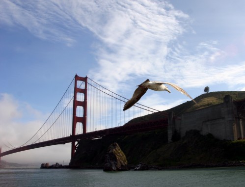 San Francisco