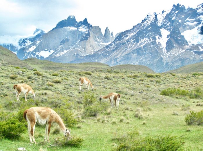 Patagonia: Home of the Gods (Part II)