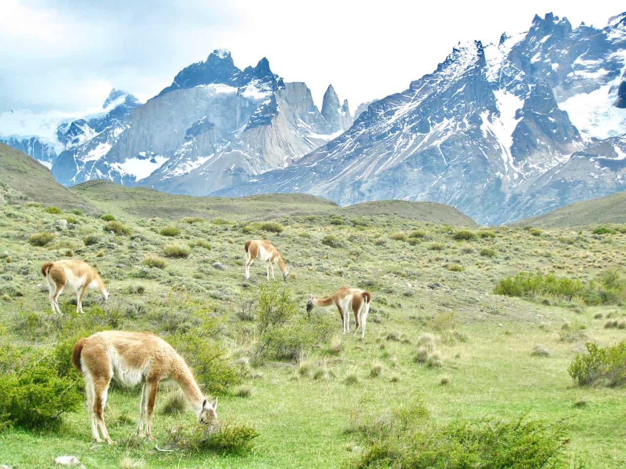 patagonia-tour-torres-del-paine-chile