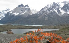 Patagonia: Home of the Gods (Part II) Torres del Paine NP