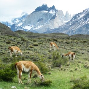 Nature photos from around the world | Velvet Escape