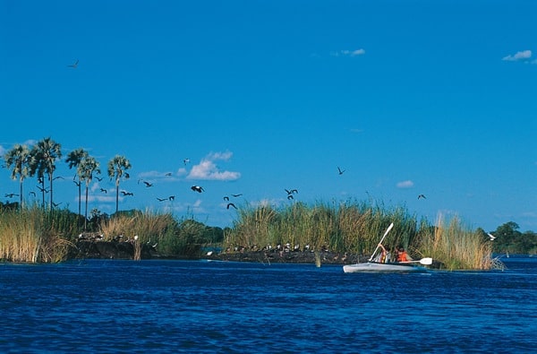 My velvet escape travel tip: Zambezi River