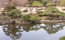 My velvet escape travel tip: Tokyo Shinjuku-gyoen during hanami