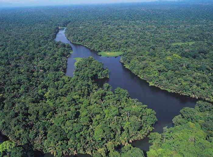 Enchanting spots: Tortuguero