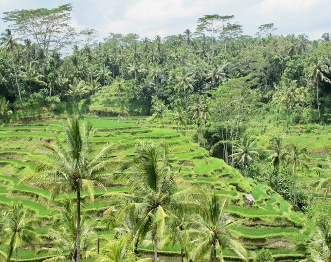 A day out in Bali